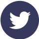 אייקון טוויטר